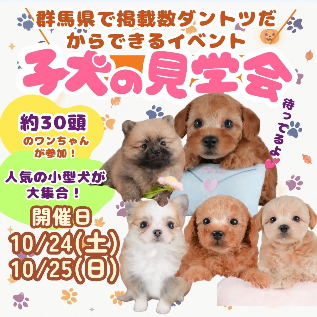 10/24・25(土日)🍁約30頭の子犬が参加する見学会開催🍁