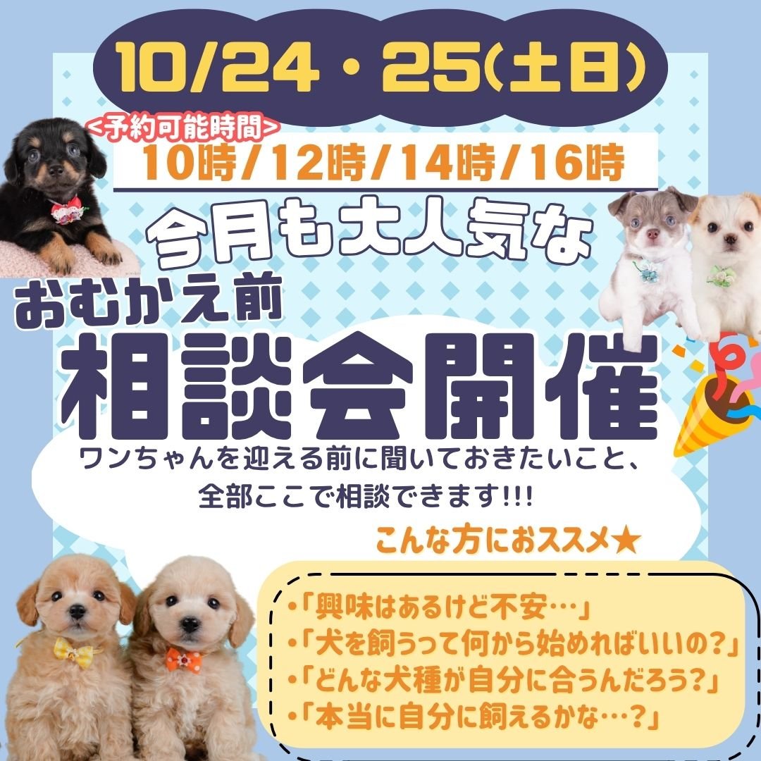 🐶10/24・25おむかえ前の不安を解消できる相談会🌈