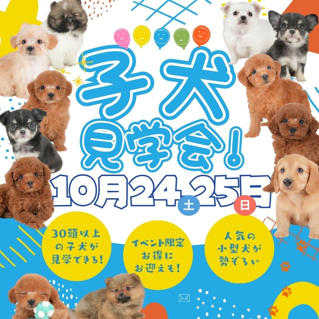 10/24.25(土日)🎃わくわくこいぬ見学会🐾＠宇都宮市