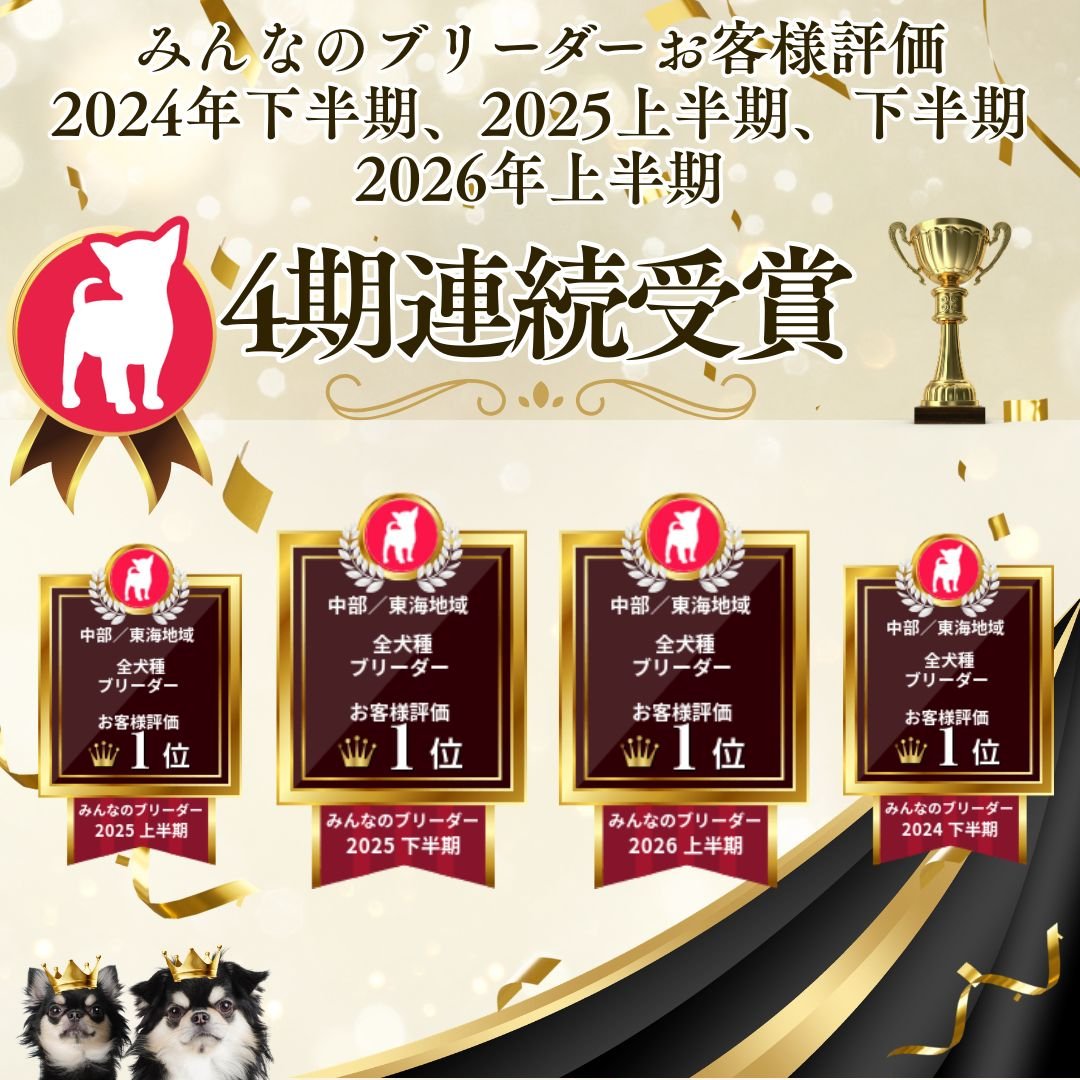 🎃🐶【10月31日・11月1日】ハロウィンこいぬ見学会開催！約40頭の子犬ちゃんが大集合👻🧡