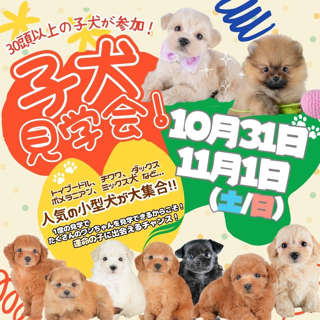🎃10/31・11/1開催🐶わくわく子犬見学会！👻＠宇都宮市