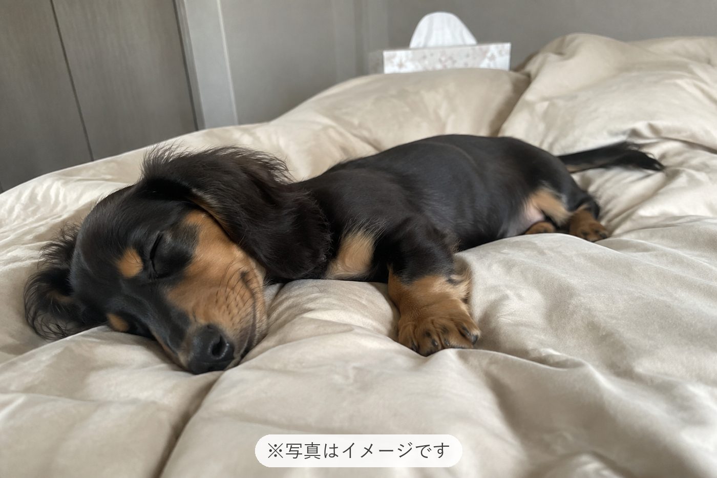 凪をお迎えして、毎日家族みんなで楽しく過ごしております😊