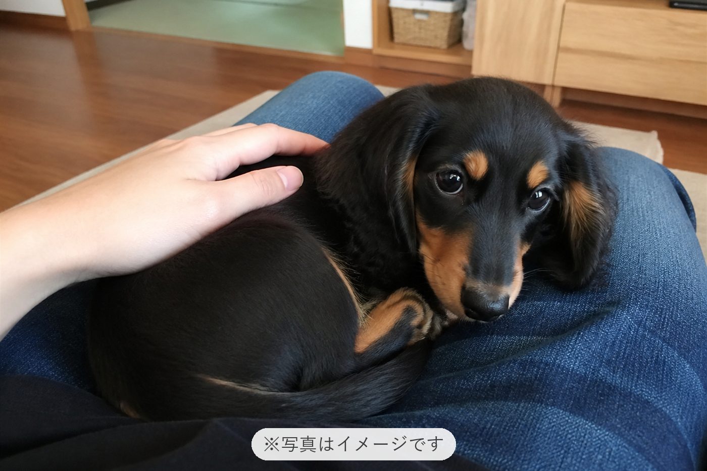 毎日楽しく過ごしています♪