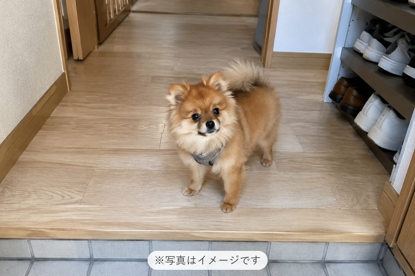 とても可愛くて癒しです