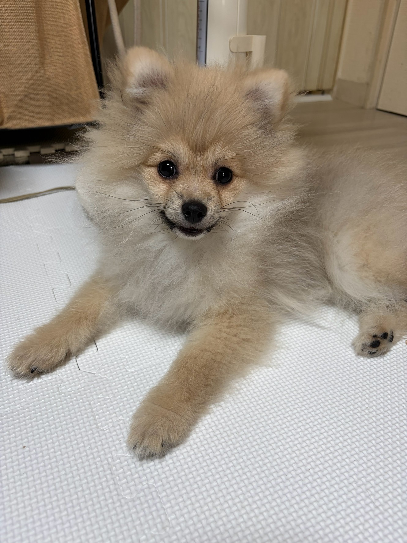 来てから、毎日元気で過ごしています