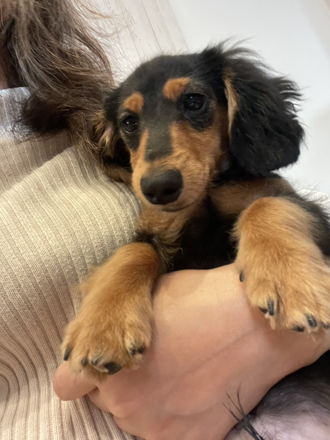 毎日毎日かわいいです