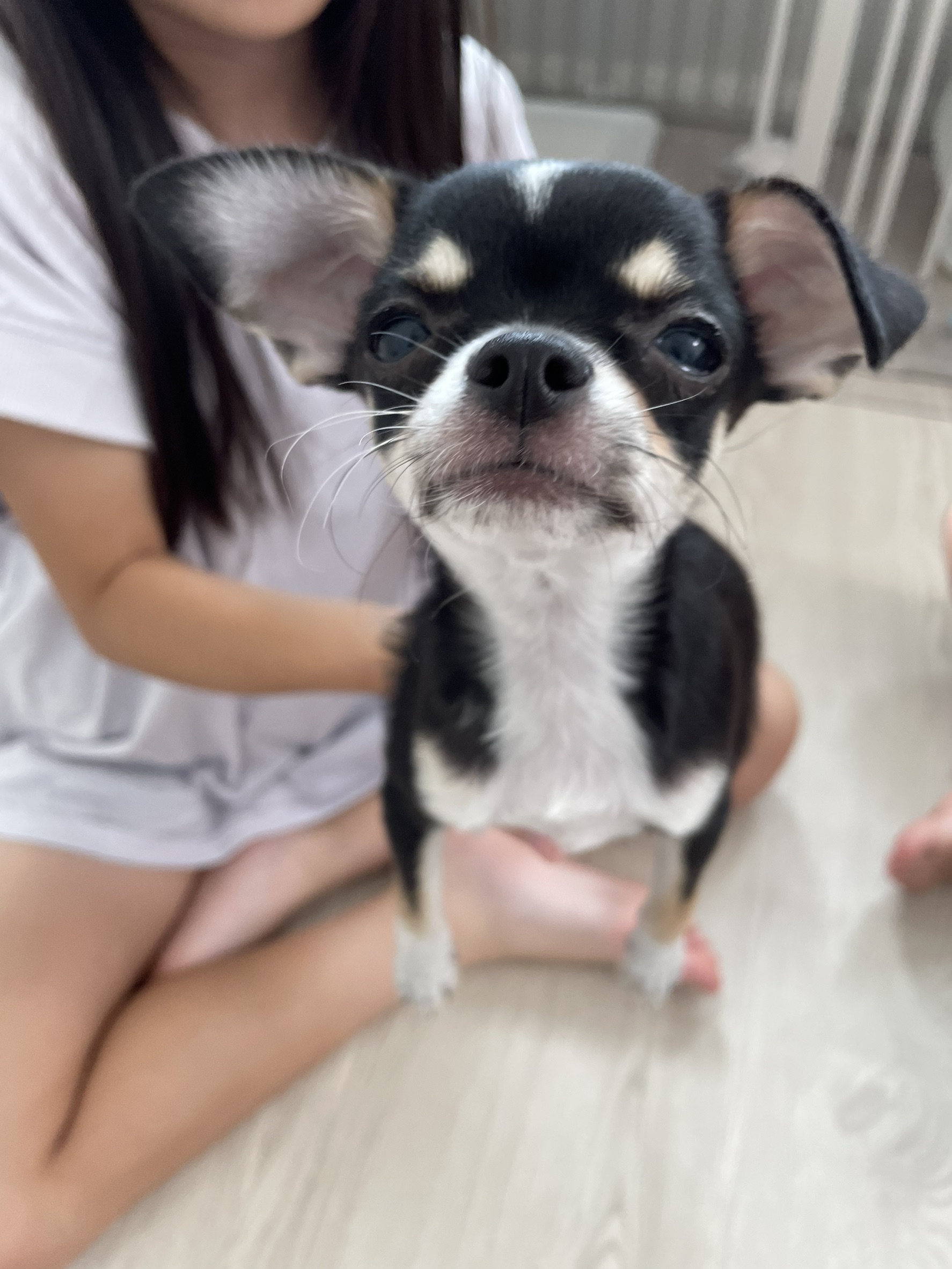 可愛すぎて毎日、癒されてます