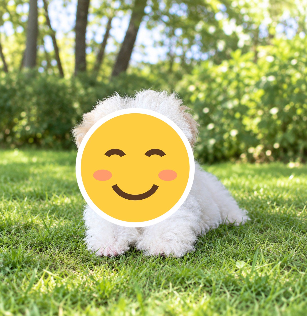 可愛いの一言です