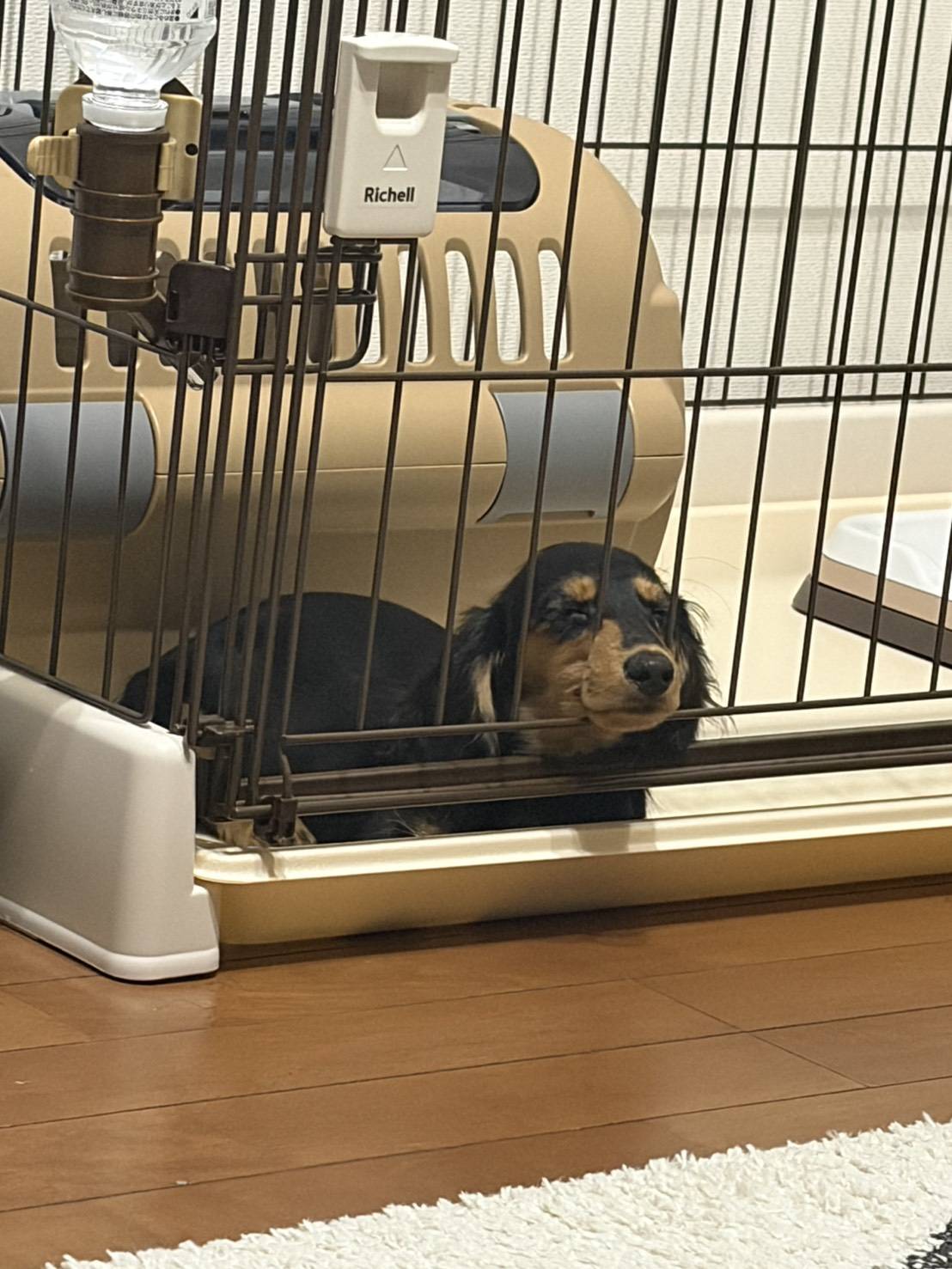 大変なこともありますが、かわいくて皆んなでお世話しています