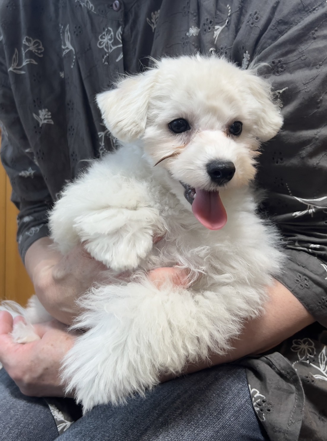 レオくん、とってもいいこです❗️