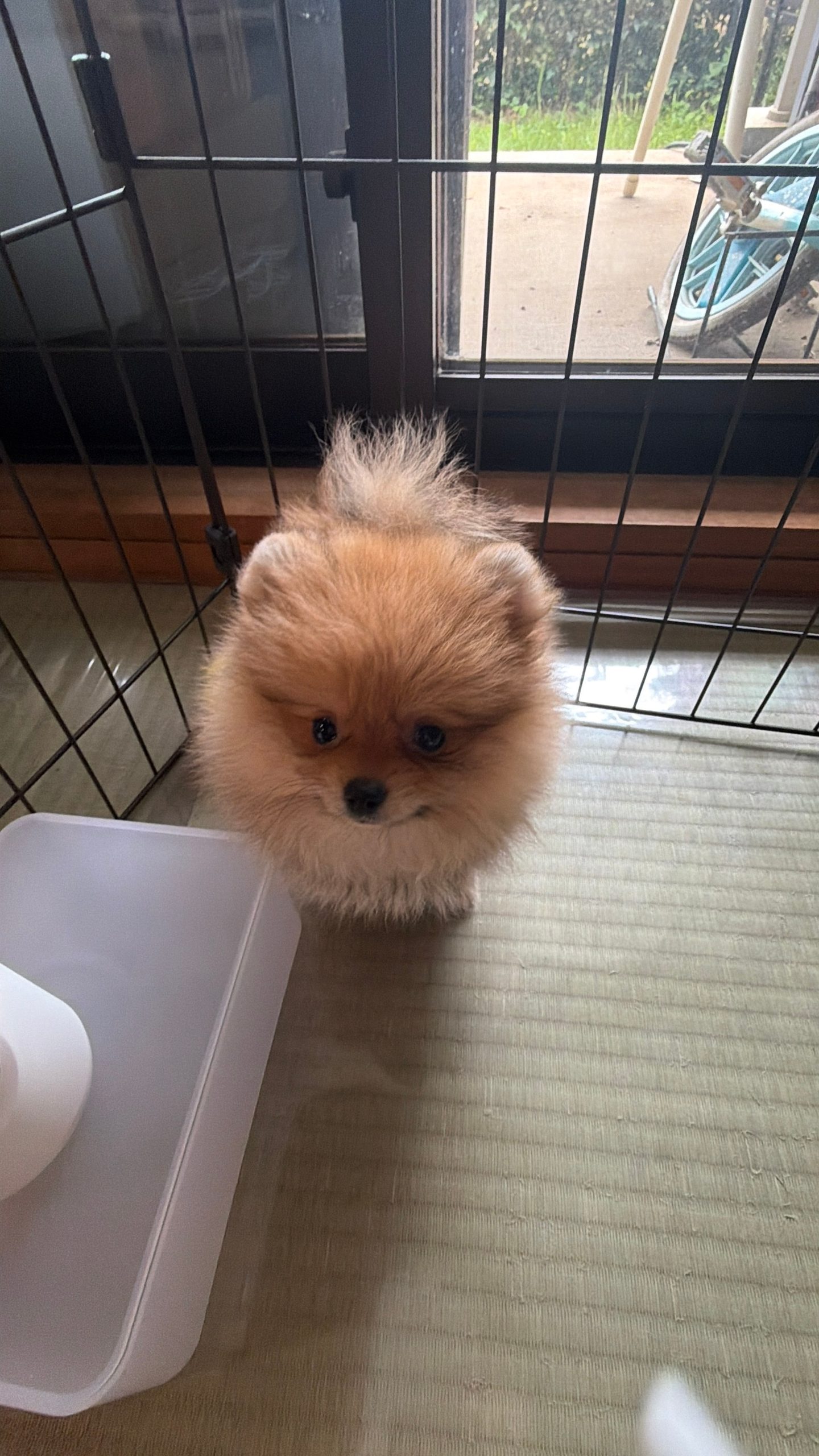 すみません、電波悪いところにいてボタン連打してました