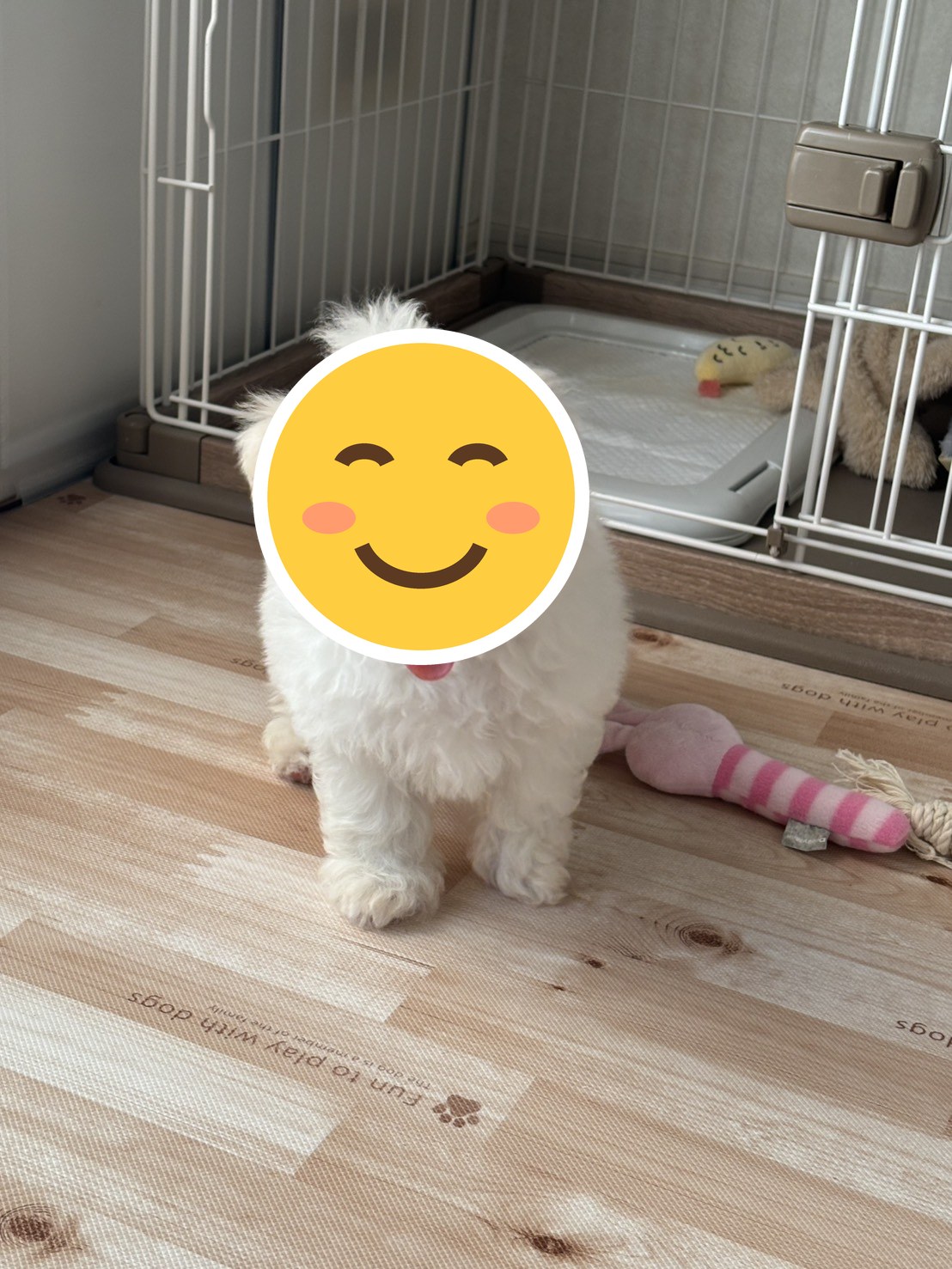 とても楽しく毎日過ごしています