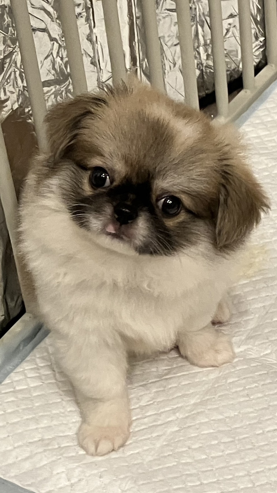 とても満足です😌