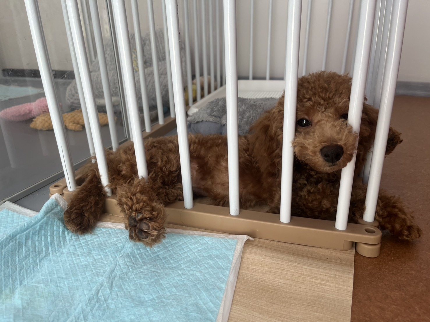 毎日、楽しく過ごしています