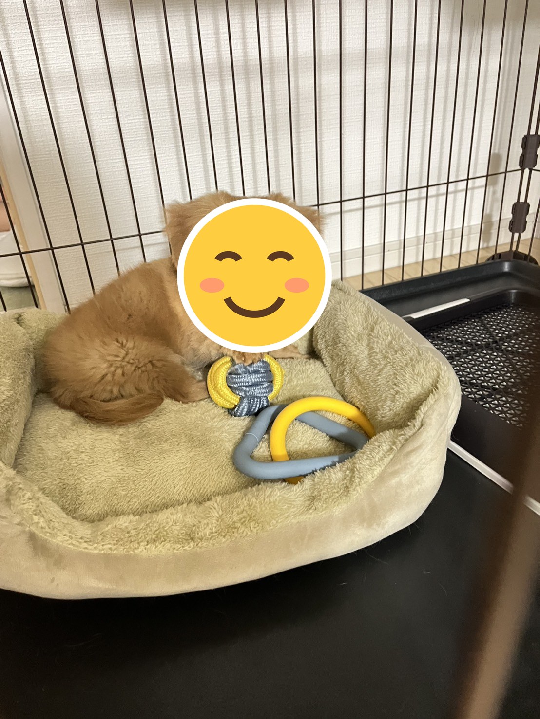 お世話になっております(❁ᴗ͈ˬᴗ͈)